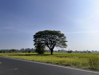 Road amidst field against sky