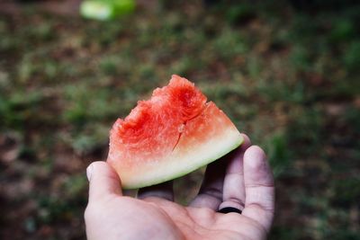 Close-up of hand holding watermelon 