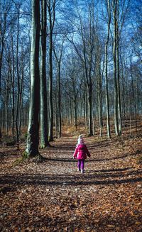 Rear view of girl wearing warm clothing while walking in forest during autumn