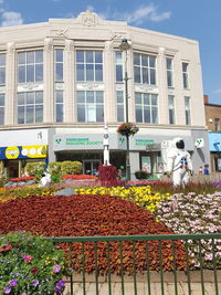 Statue of flowering plants by building