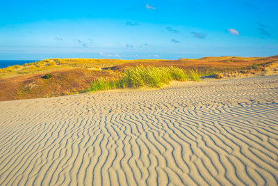 Scenic view of desert against sky