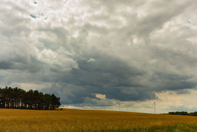 Scenic view of agricultural field against sky