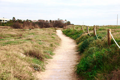 Footpath amidst plants on field against sky