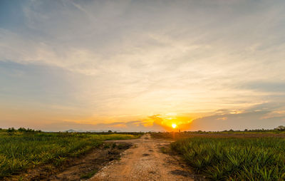 Scenic view of field against sky during sunset