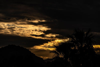 Low angle view of silhouette trees against dramatic sky