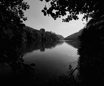 Reflection of trees in water