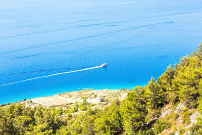 High angle view of trees on beach