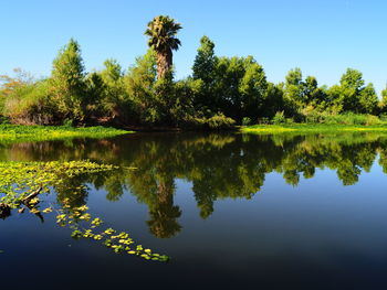 Reflection of trees in lake against sky