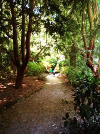 Full length of people walking on footpath in park