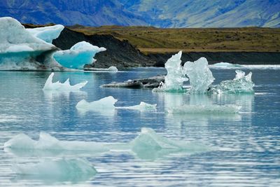 Icebergs in lake