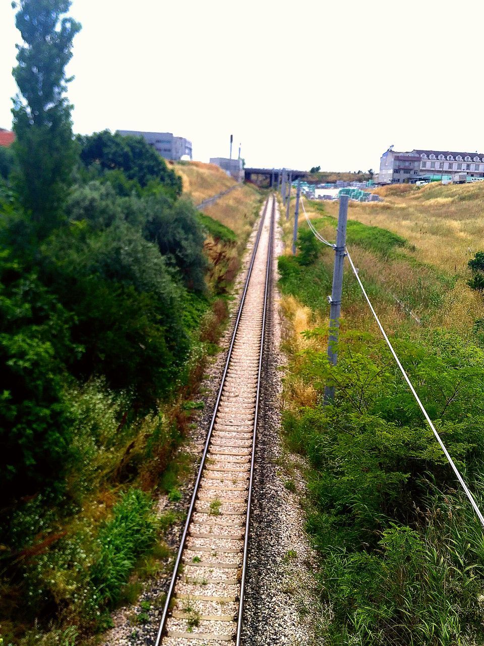 the way forward, railroad track, clear sky, diminishing perspective, grass, transportation, vanishing point, rail transportation, tree, plant, growth, built structure, green color, sky, day, high angle view, field, outdoors, nature, architecture