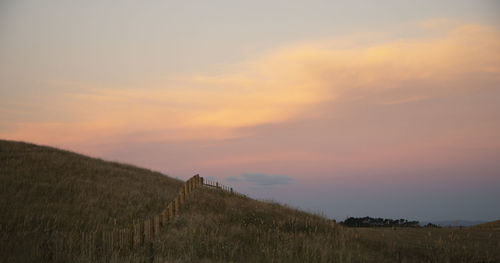 Scenic view of field against sky during sunset