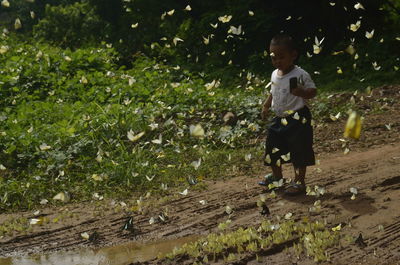 Full length of boy standing by plants