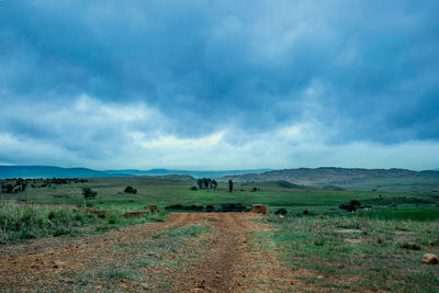 Scenic view of field against sky