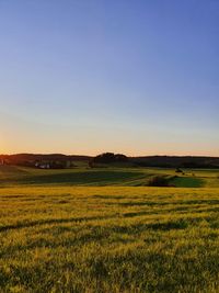 Scenic view of field against clear sky