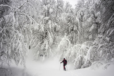 Full length of man skiing through trees