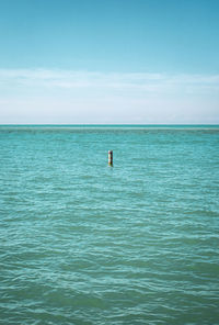 Person swimming in sea against sky