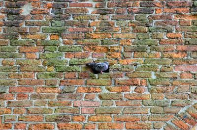 Full frame shot of brick wall