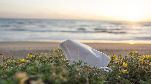 Close-up of water on beach by sea against sky during sunset