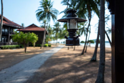 Street light and palm trees by house