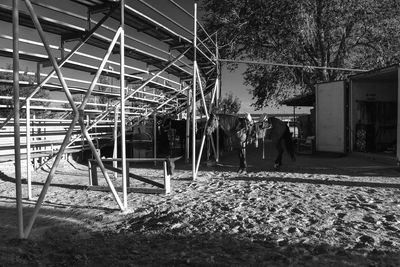 People walking in front of building