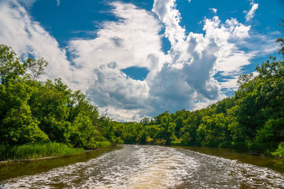 Scenic view of river amidst trees against sky