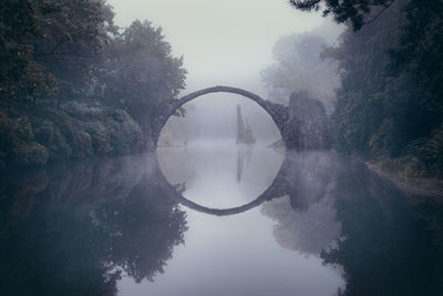 Reflection of trees in water