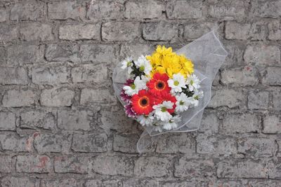 Directly above shot of flower on wall