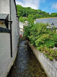 Canal amidst trees and buildings