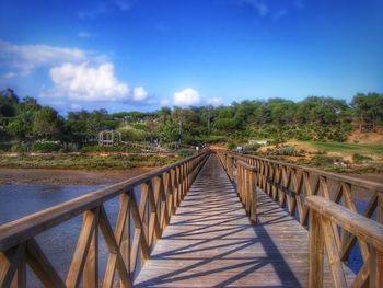 Boardwalk amidst trees on landscape against blue sky