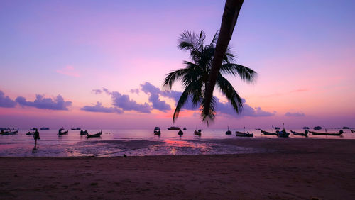 Silhouette palm trees on beach against sky during sunset