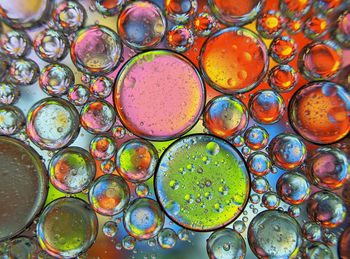 Colorful bubbles abstract background, oil bubbles in transparent liquid backdrop