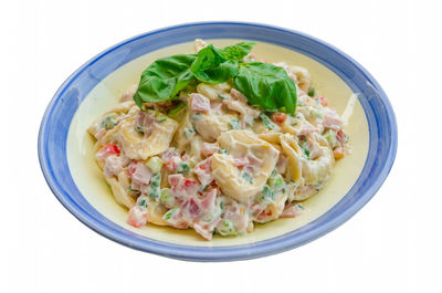 Directly above shot of meal served in bowl