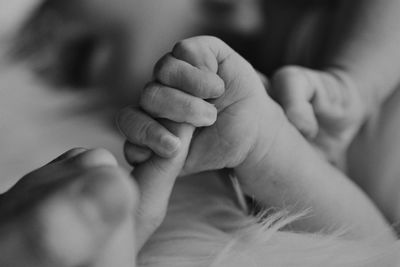 Cropped hand of baby holding person finger