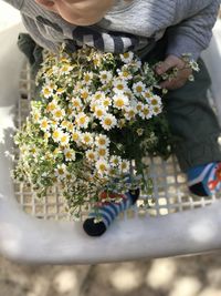 High angle view of baby boy with flower bouquet sitting in basket