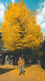 Woman standing by yellow tree during autumn