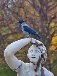 Statue of bird perching on tree