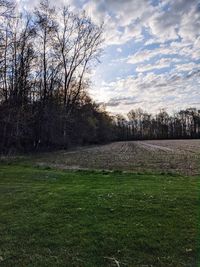 Bare trees on field against sky