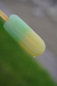 Close-up of lemon on plant