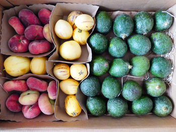 Full frame shot of avocado, pepino melon and peaches arranged in traffic light colors