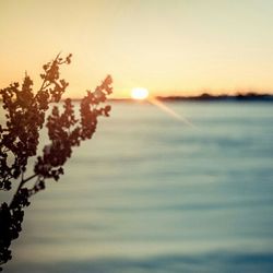 Scenic view of sunset over sea