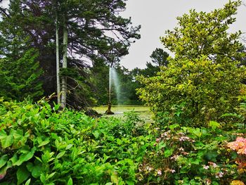 Scenic view of waterfall