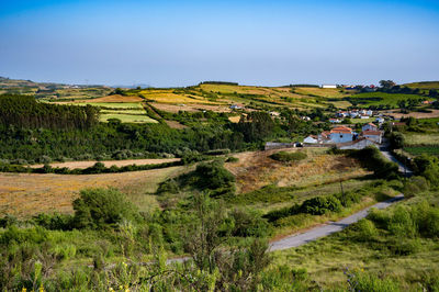 Scenic view of field by houses against sky