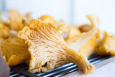 Close-up of chanterelles in plate on table