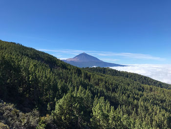 Best tenerife