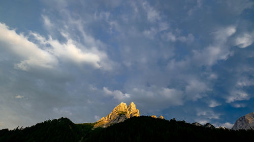 Low angle view of trees against sky