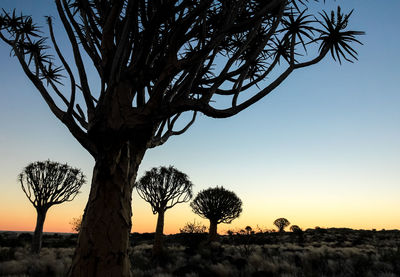 Silhouette trees on field against sky during sunset