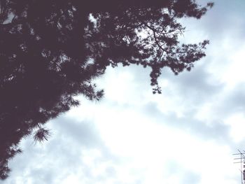 Low angle view of trees against cloudy sky