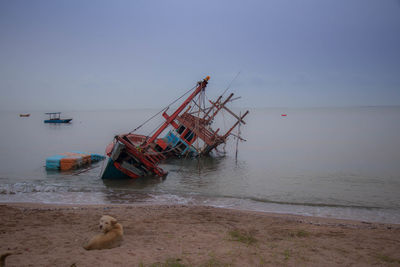 View of abandoned boat on beach against sky
