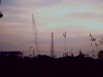 Silhouette plants against sky during sunset